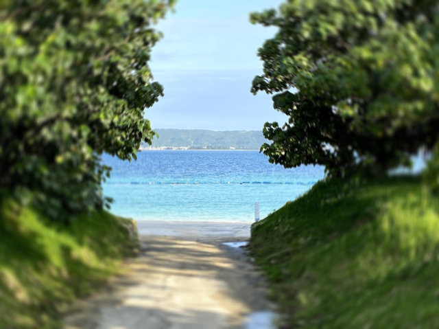 和電気の画像